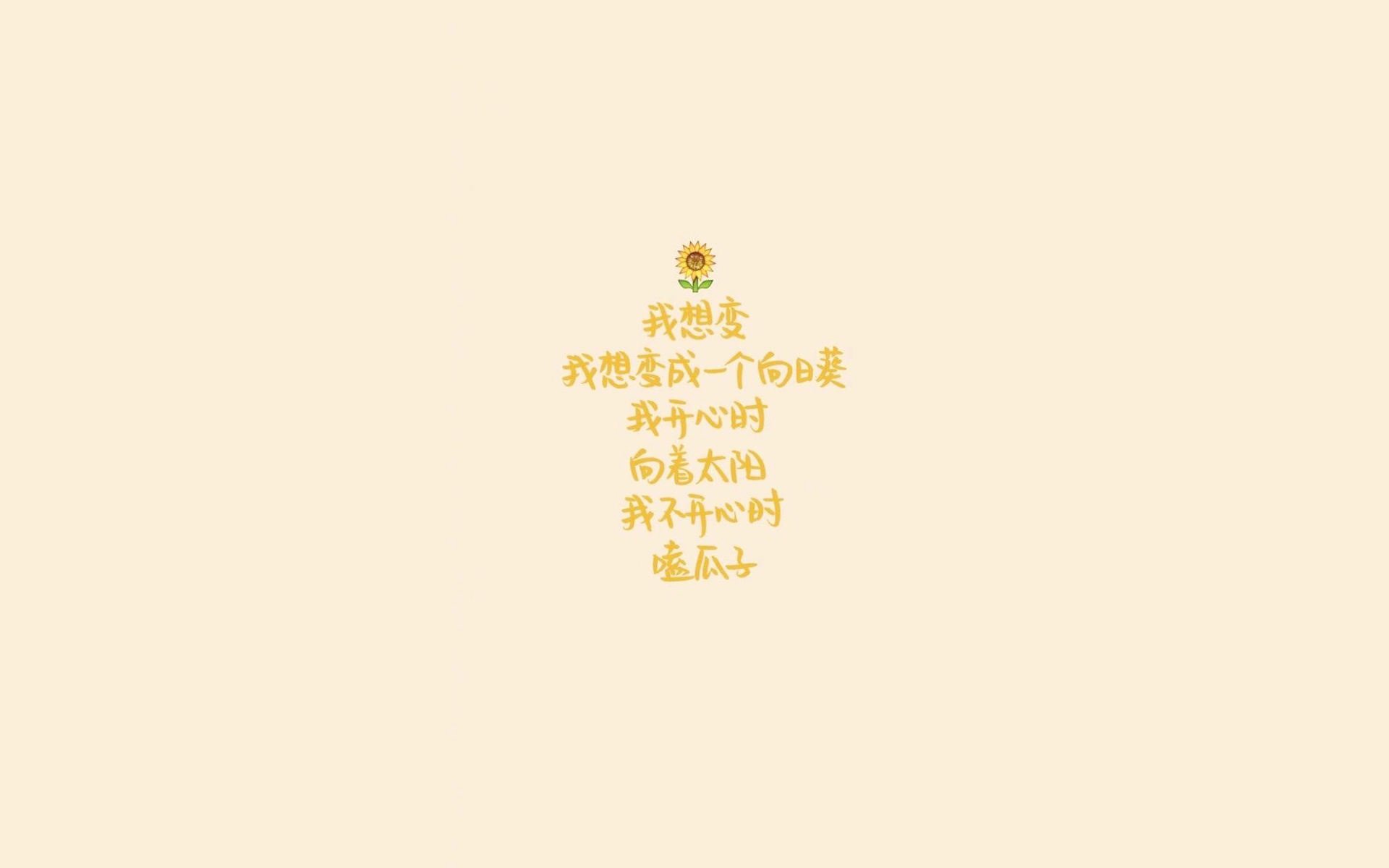 【球迷盛宴】现场气氛爆棚的棒球赛事回顾，棒球比赛