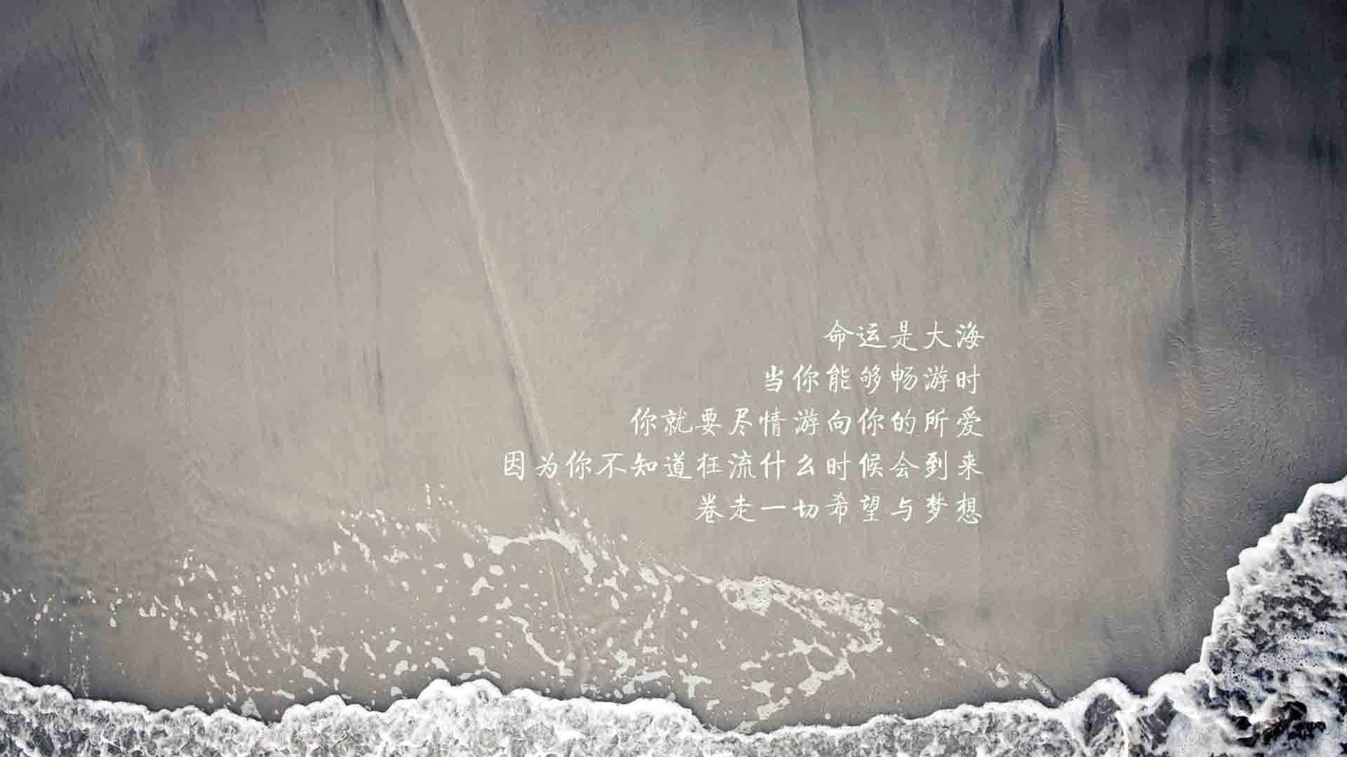 一线明星跨界助阵台球赛事，一线台球球员名字