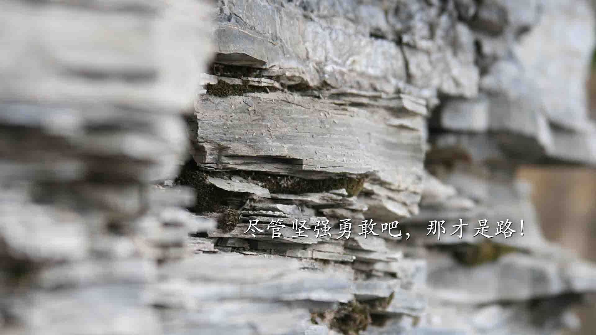 比利时骑手吉尔·托马斯在2024年国际马术联合会障碍赛世界巡回赛中获得个人第六名，表现出色。