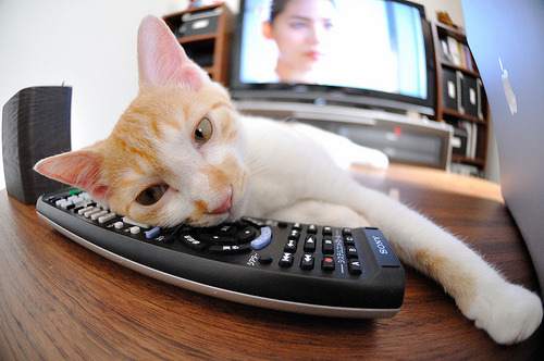 篮球专项体能训练课程体系科学构建，篮球运动专项体能训练的研究