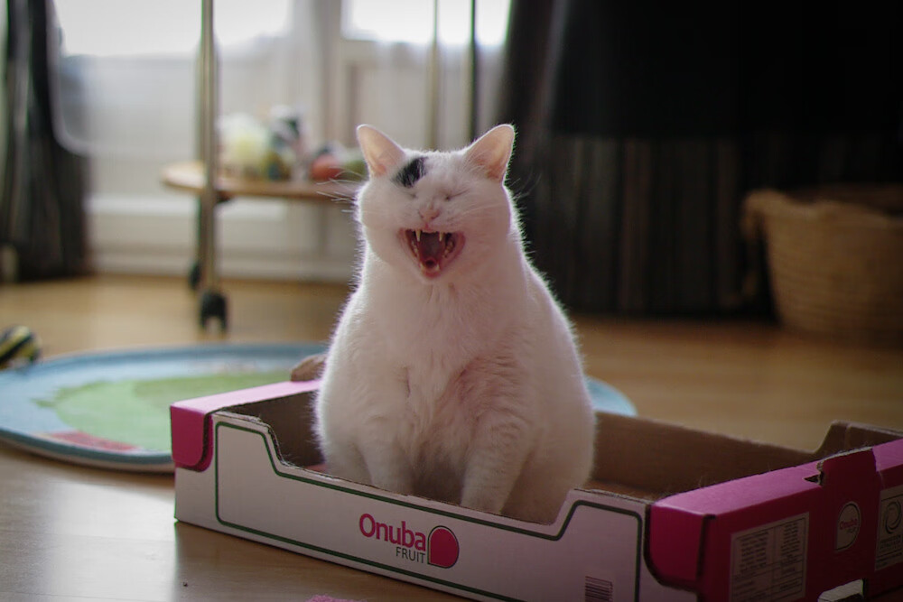 赛季末回顾：最令人难忘的比赛瞬间，难忘的赛程