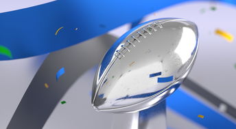 -青少年体育运动参与的心理动因及影响研究，关于青少年运动员心理发展的影响因素