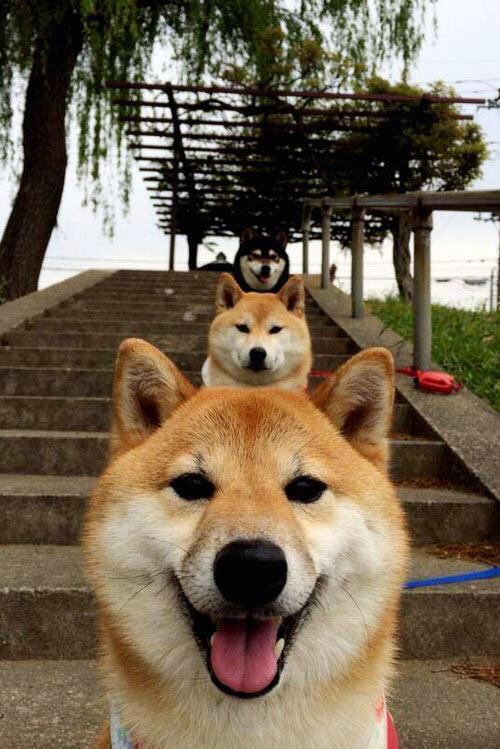 中国女篮不断优化攻守节奏，中国女篮进步