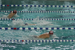 九游app下载中心-中国游泳运动员世锦赛接力项目表现抢眼，中国游泳接力夺金