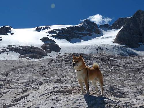 中国男篮主教练制定详细战术计划，中国男篮主教练辞职