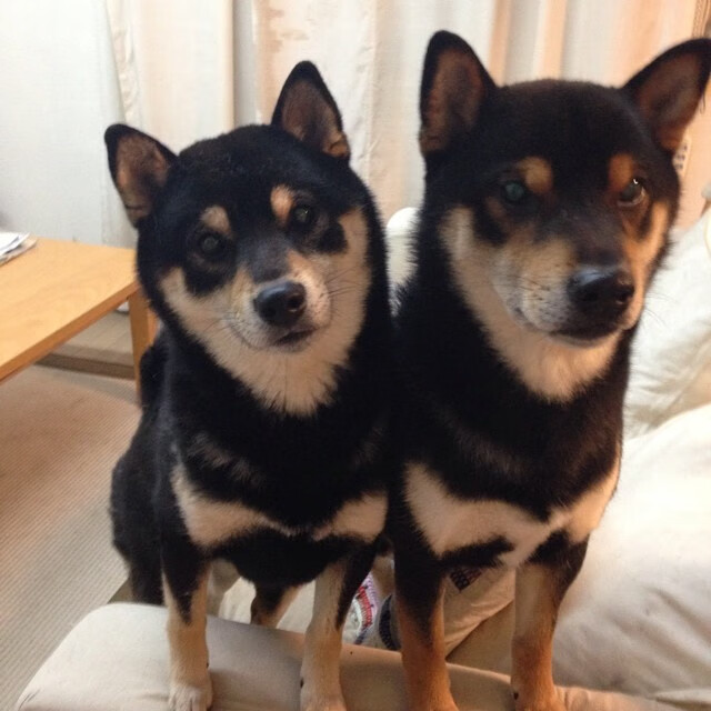 九游娱乐(jiuyou)官方网站-体育+文旅融合，天府新区释放发展新动能，天府新区文旅城