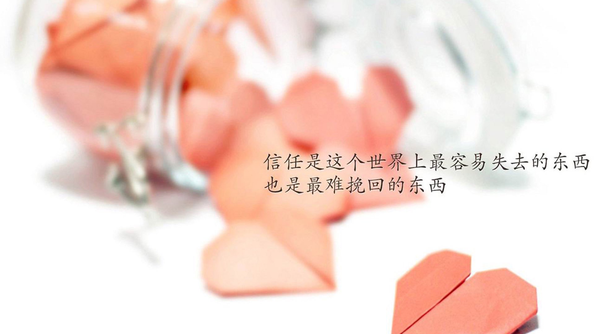 网球新星崭露头角 年仅十六岁闯入八强，网球名星