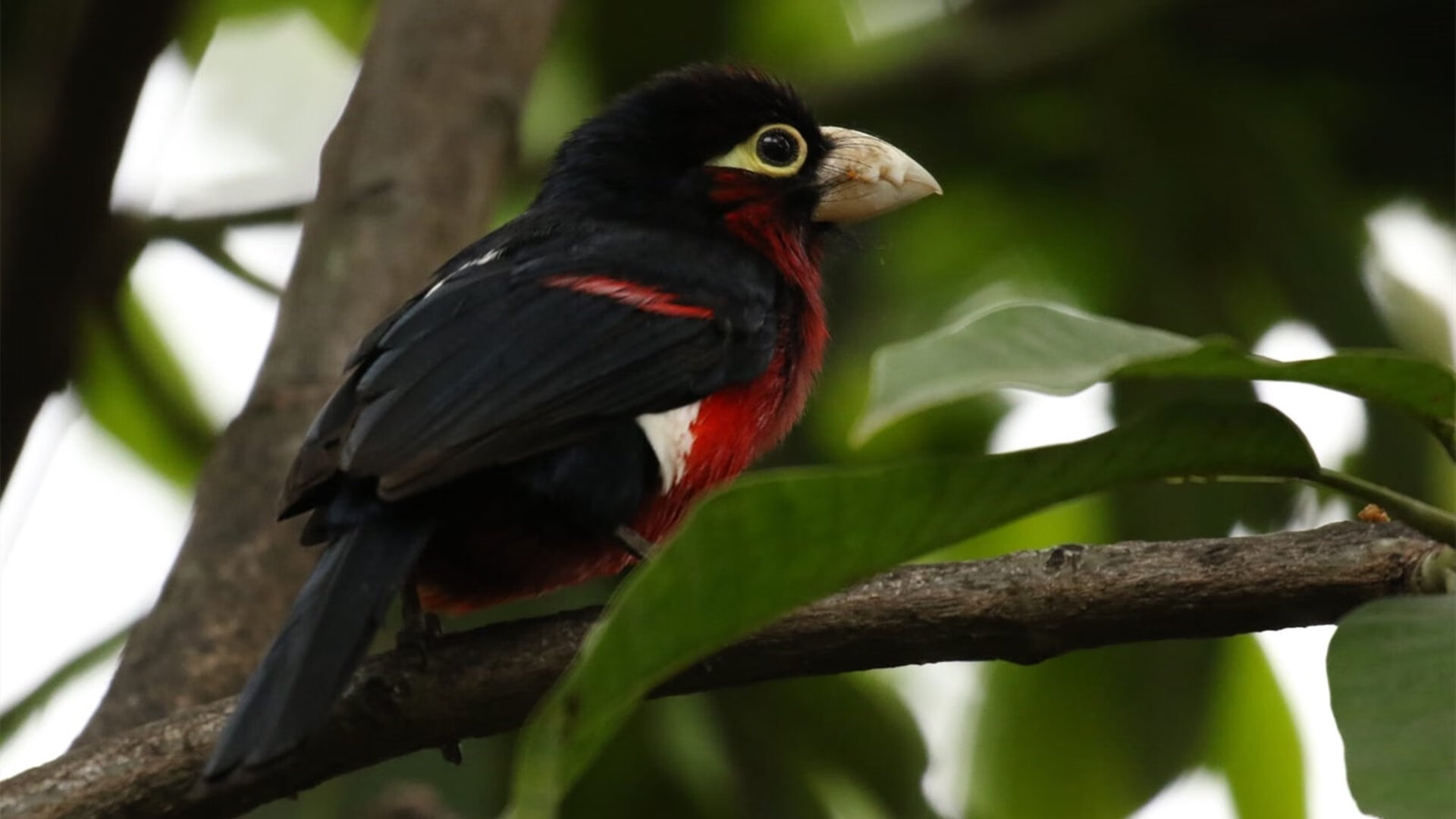 足球青训计划引入沙地练习增强脚感，最实用的足球青训教案