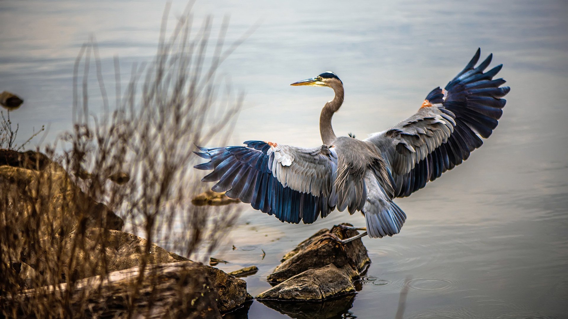 -中国足球青训体系鼓励多地试点联动发展，中国足球的青训理念包括