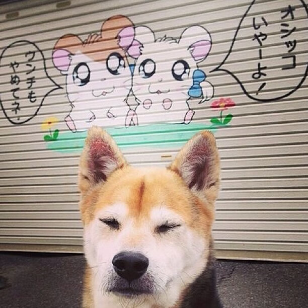 中超团队参照欧洲联赛构建长远发展机制,中超球员欧洲