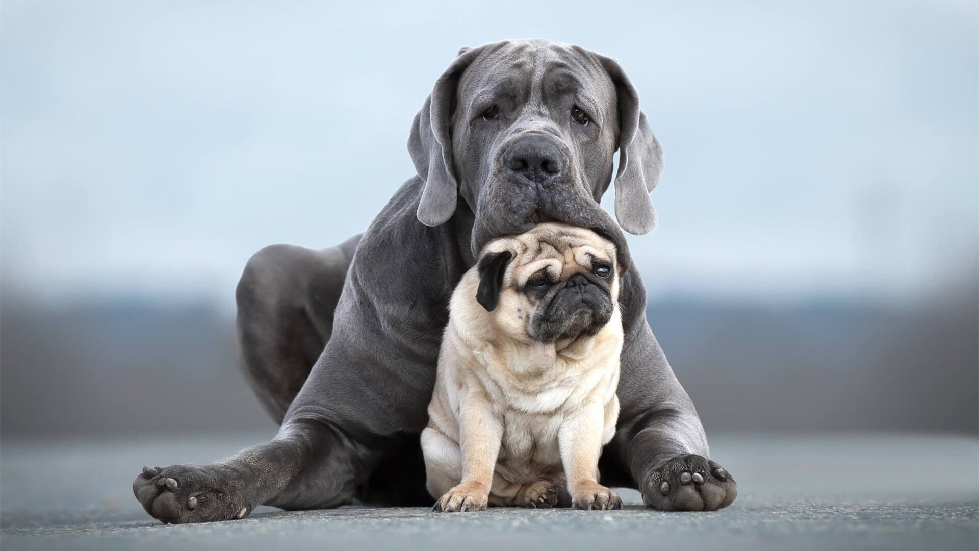 体育新闻中心上线媒体通道登记新系统,体育新闻网站推荐