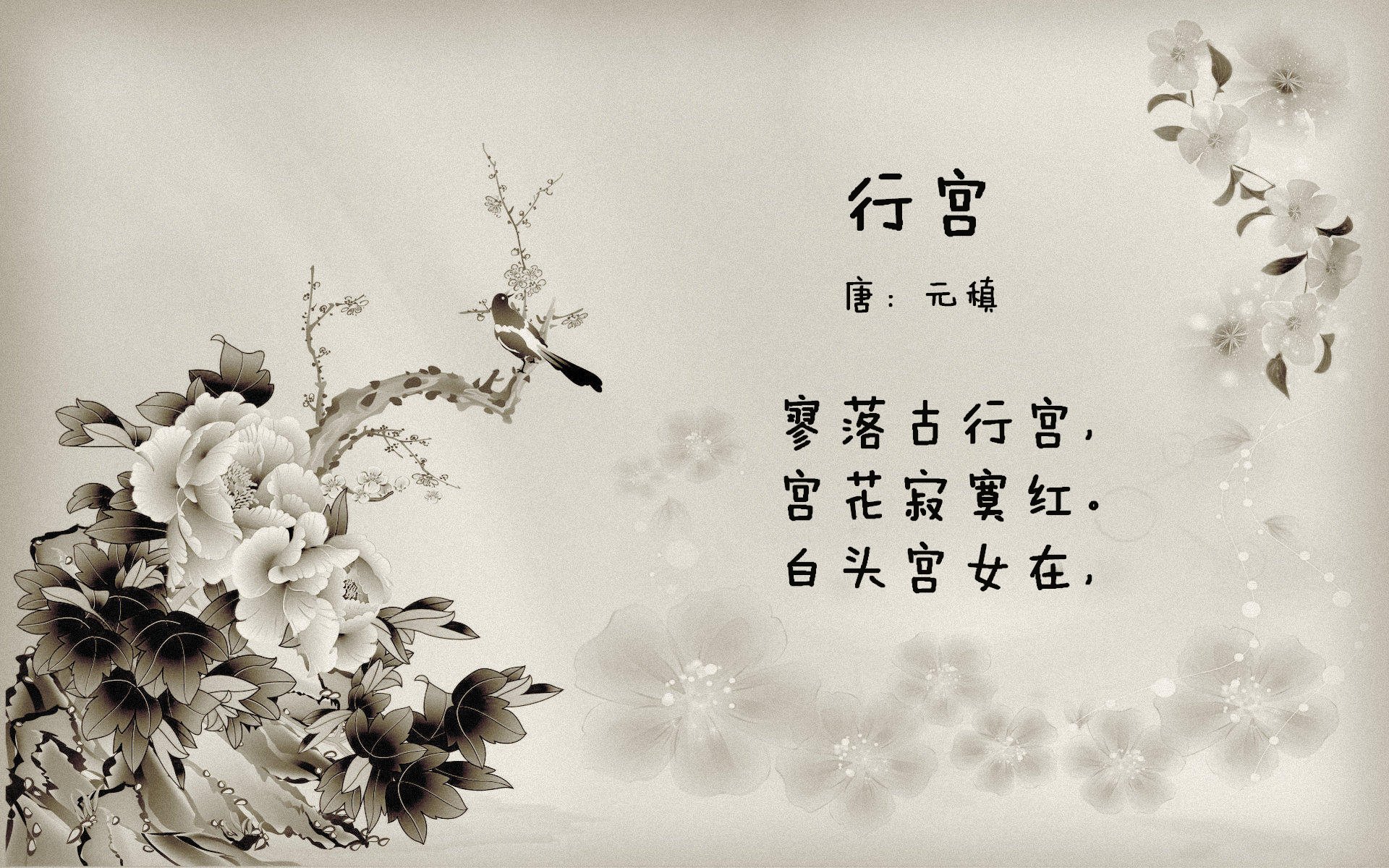 爱尔兰男子橄榄球队迎来全新挑战，爱尔兰橄榄球联赛